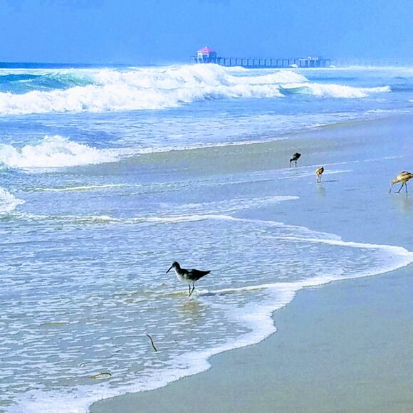 Button Front Tropical Floral Dress Size XL - Picture 9 of 16